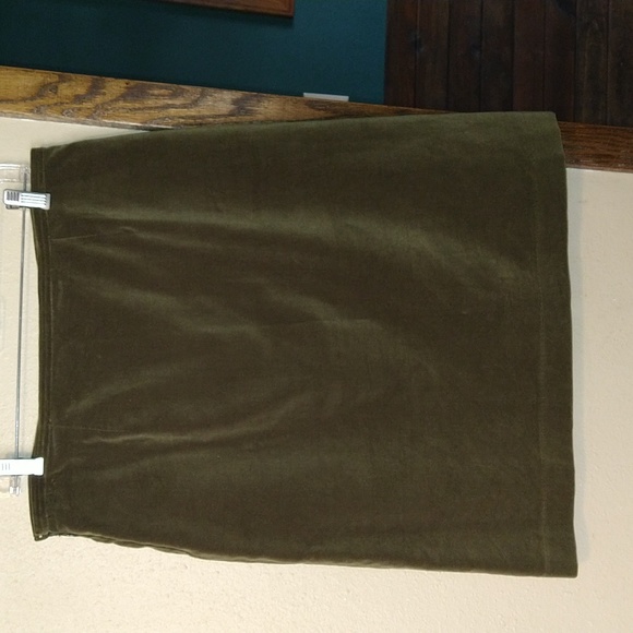 Cynthia Steffe Velvet Skirt - Picture 3 of 4